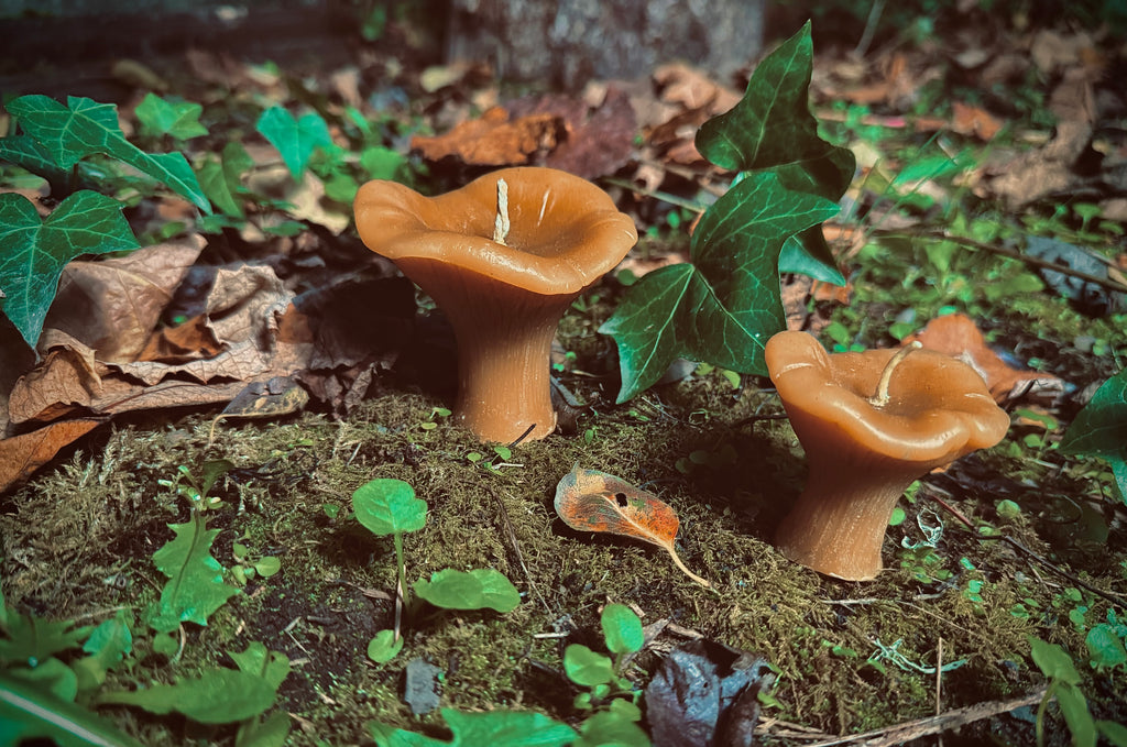 Chanterelle Beeswax Candle
