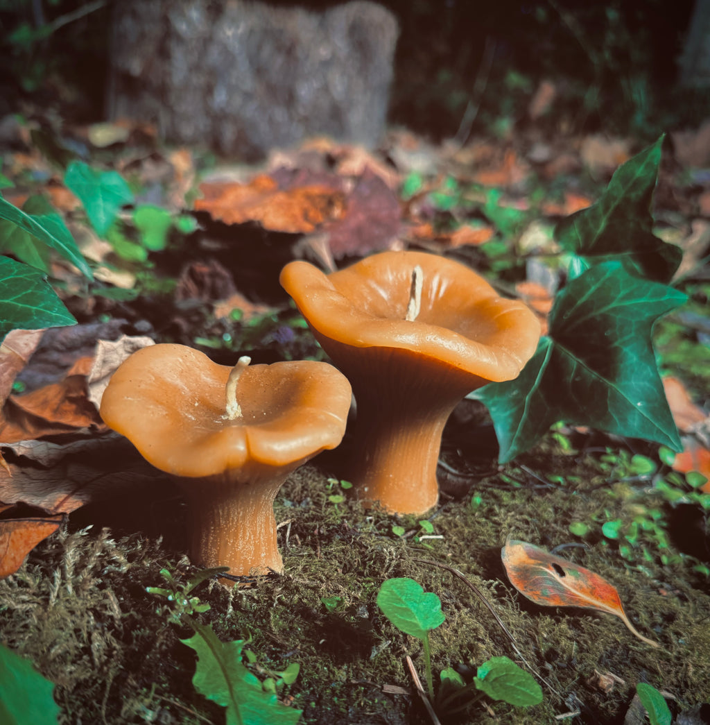 Chanterelle Beeswax Candle